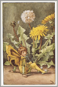 flower fairy dandelion